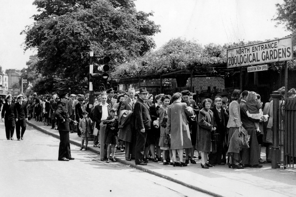 a queue of visitors lining up and waiting at the entrance of a zoo